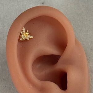 Gold Bee Crystal Cartilage Earring 

Brand New

Gold Plated Sterling Silver